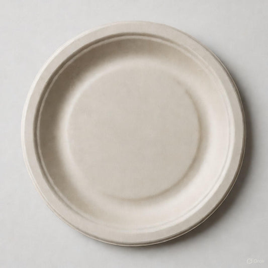 Chitosan-coated paper plate